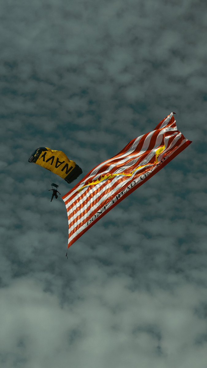 Navy Jump Team over NAS Oceana during the Neptune Festival #donttreadonme #USNavy #nasoceana #skydive #virginiabeach #neptunefestival #avaiationphotography #military #navyleapfrogs #photographer #picoftheday