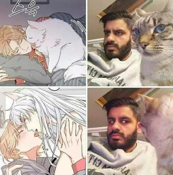 howtoqueef's tweet image. it&apos;s not what u think