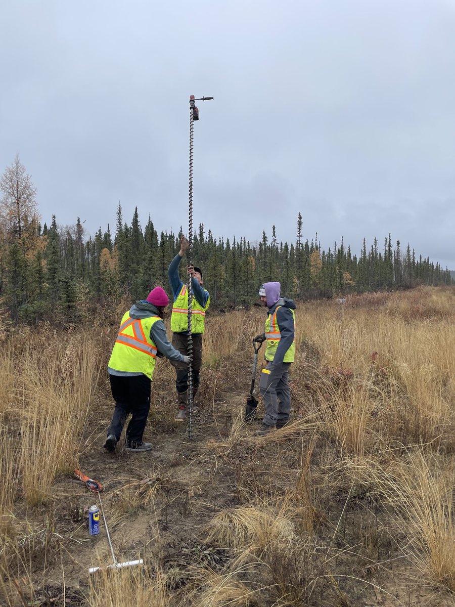 tephrafan's tweet photo. A 4.5m active layer in an area of Ft Good Hope NWT where the vegetation was cleared on eolian sands vs 1.45 m in the forest behind. Active layer thickness here is mostly a function of organic thickness all other things being equal. W/ @OnTheLandry⁩ ⁦@WedgeIceQc⁩ and JC https://t.co/BPyyk67rjF