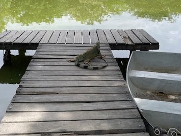 DUNEScience's tweet image. Campus Life! They all want to study neutrinos. #dunescience