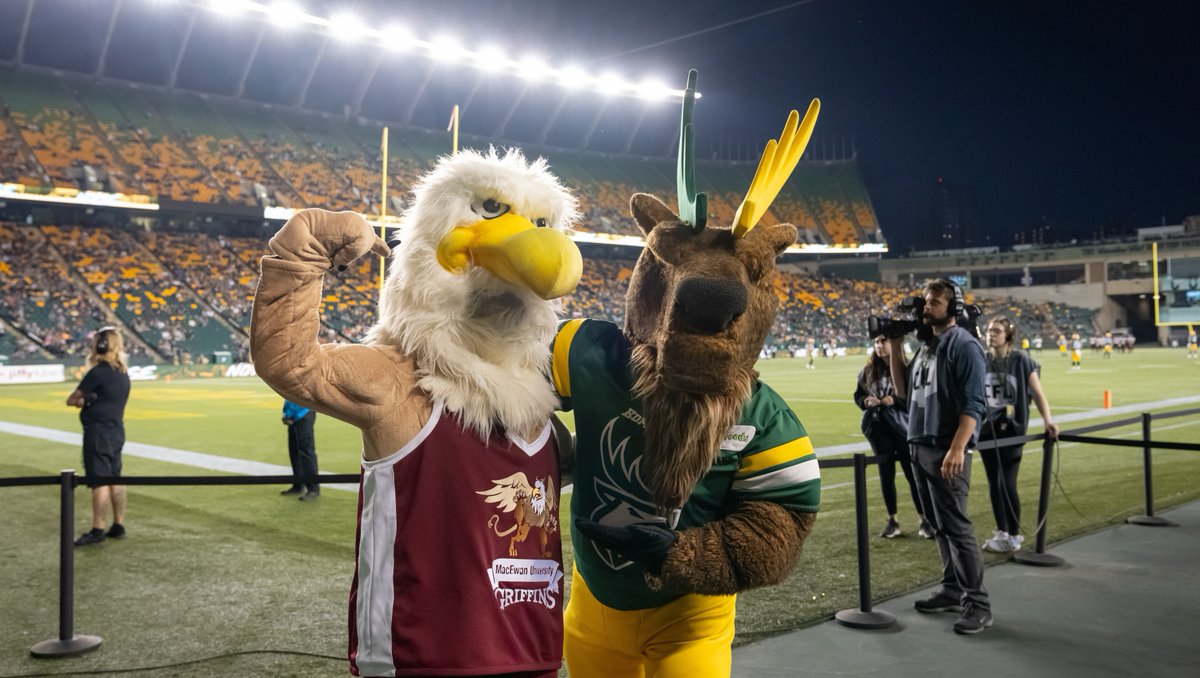 SAMacEwan's tweet photo. CAMPUS CLASH RECAP

We had the most epic time at Campus Clash! Over 3,000 university students showed up to Commonwealth Stadium to cheer on The Elks and rep school colours. 

#samacewan #students #edmontonelks  #macewa #yeg #yegdt https://t.co/CK2J4X9ucQ