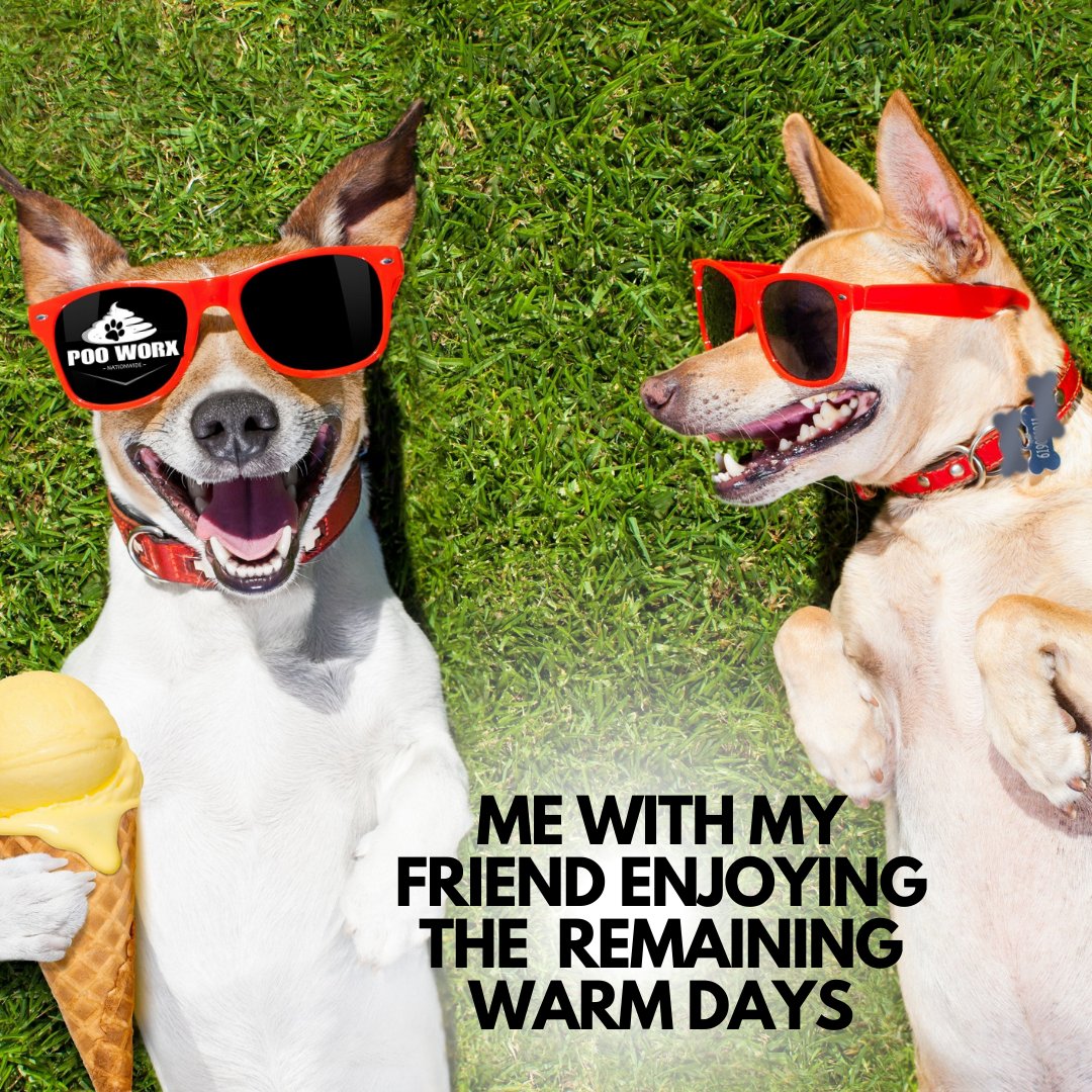Share a pic of your furry bestie enjoying some sunshine  ☀️

#canadapups #dogsofinstagram #dogsofcanada #canadabarks #dogs #woofthenorth #doglife #dog #canadadogs #canadiandogs #dogoftheday #puppylove #dogsofinsta #aussie #dogsincanada#kelownadogs #ourcanadiandogs #dogsofkelowna