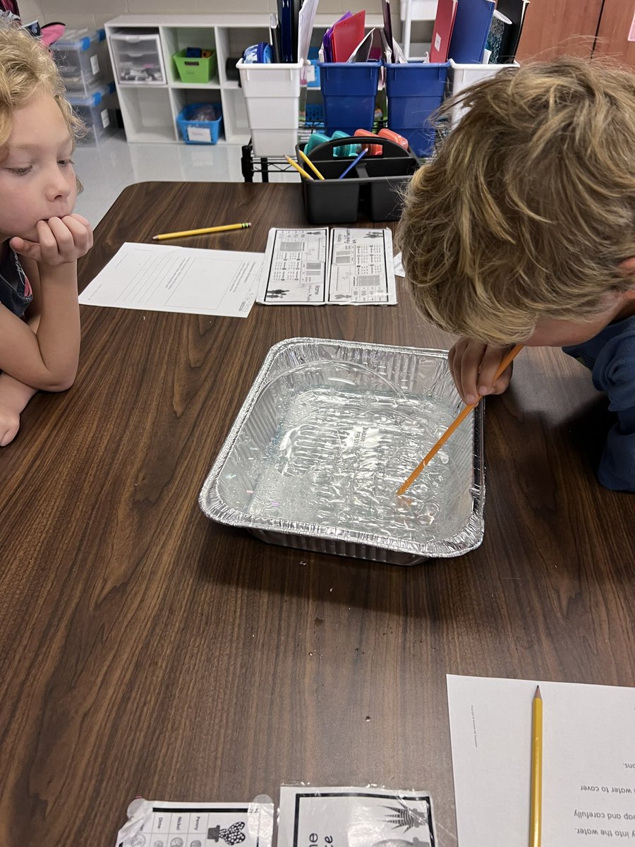 MsWright_2nd's tweet photo. Science was the highlight of our day today! We explored how to make bubbles and then discussed how a gas was created. 🫧🫧 https://t.co/l2jpxgqXVf