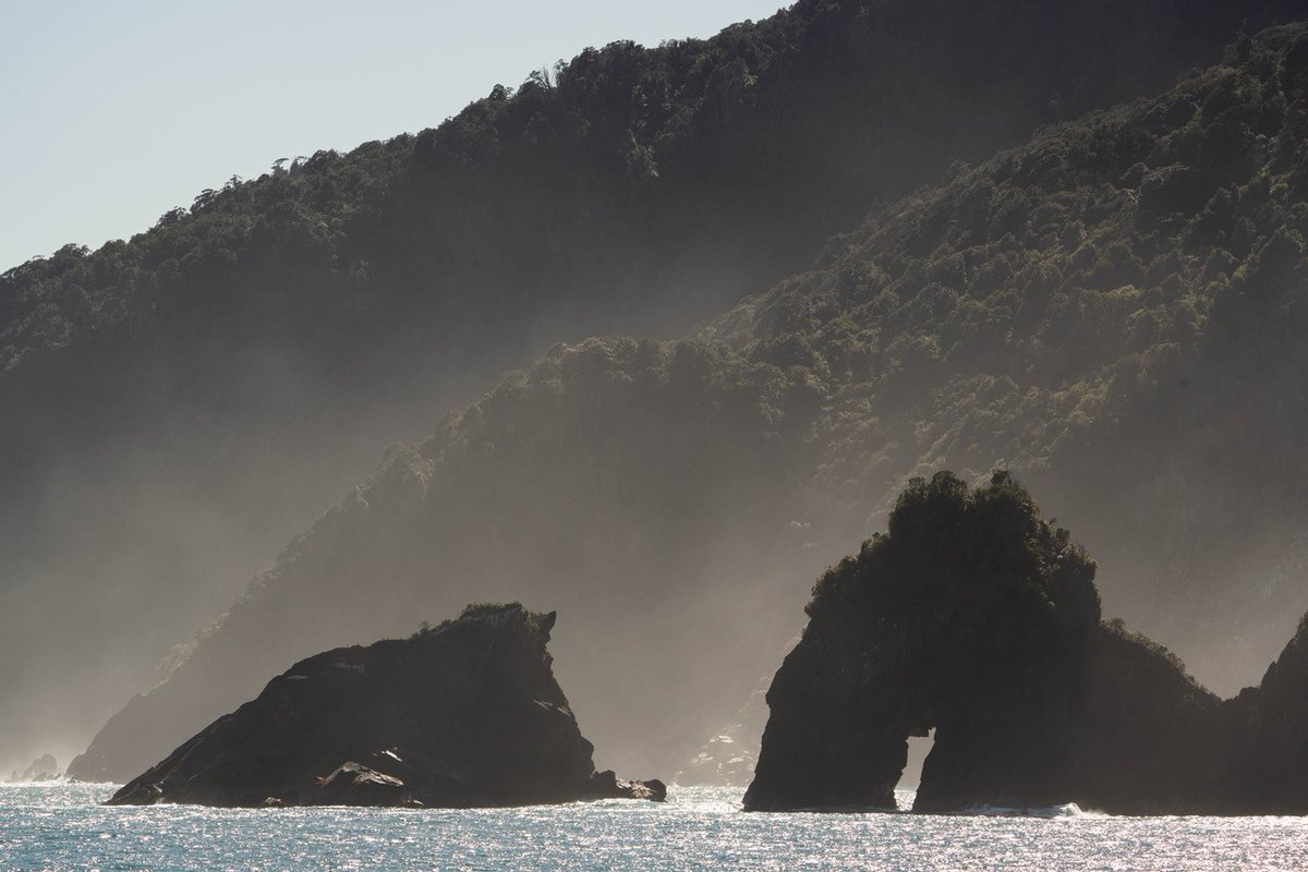 Heritage Expeditions tweet media