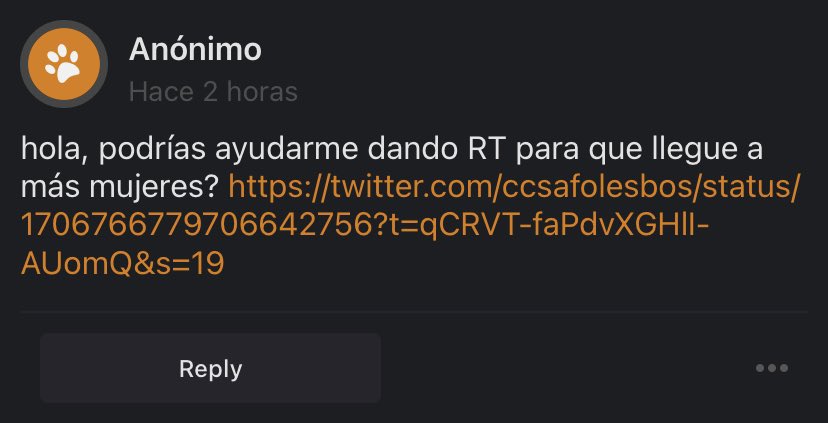 cclesbianicas's tweet photo. disculpa no me aparece el tweet —🐈 https://t.co/c5CubJctzy