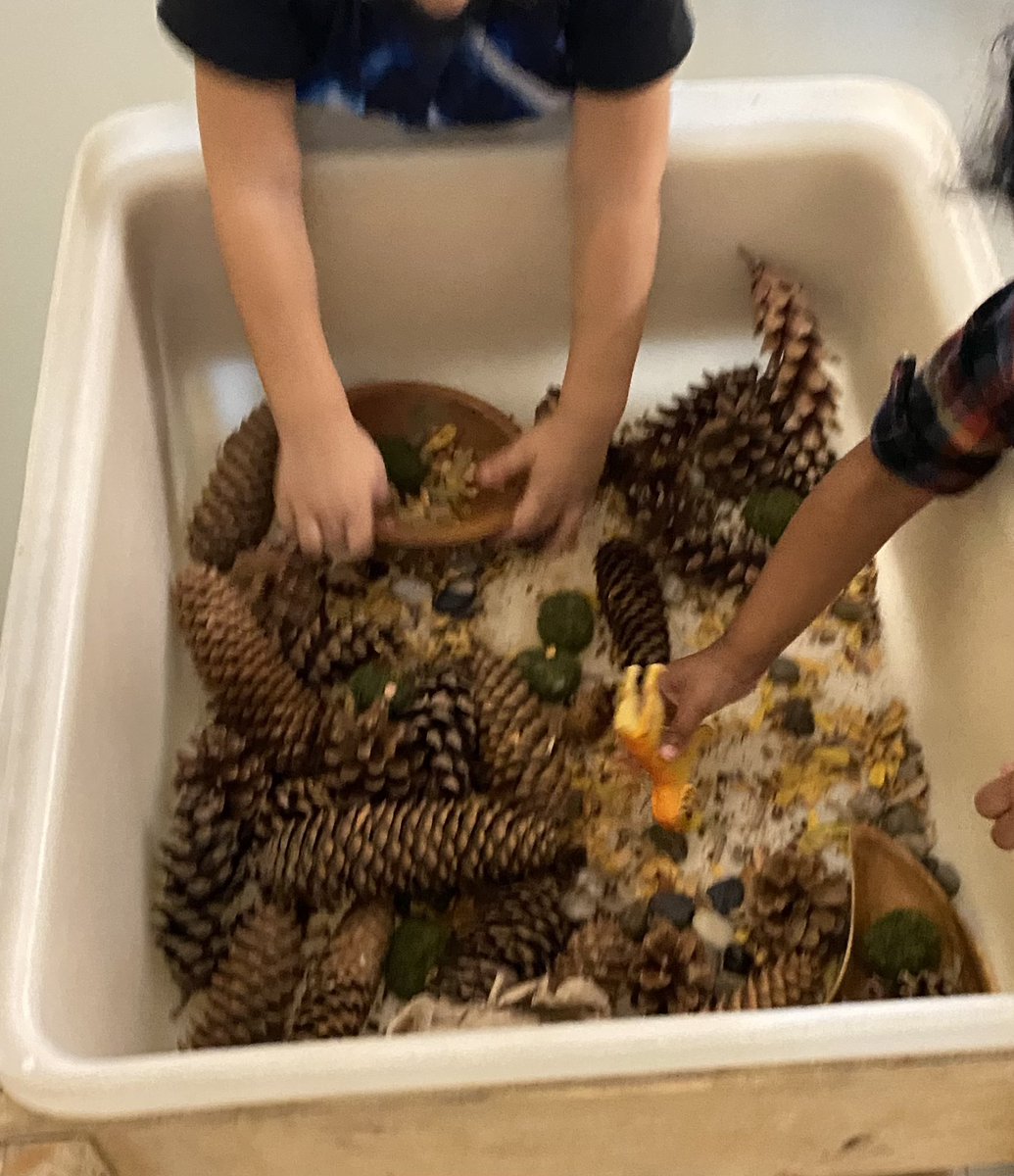 A good collection of fall items for our sensory bin.