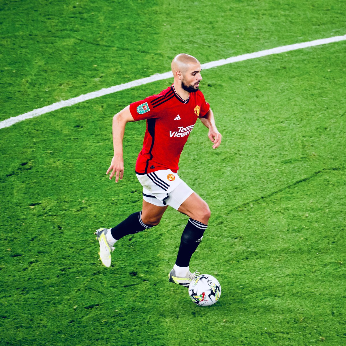 Every. Blade. Of. Grass.