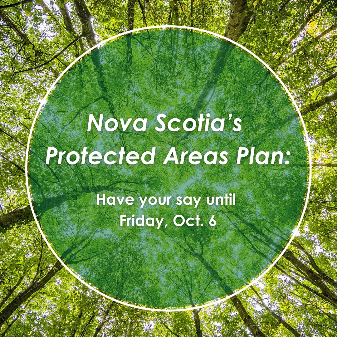 Have your say on Nova Scotia’s #ProtectedAreas Strategy 🌳

Until Friday, Oct. 6, the province is seeking public input on a new Protected Areas Strategy through. ⁠

Read EAC's submission: bit.ly/PPASubmissionE…

Participate in the consultation: ns20by2030.ca