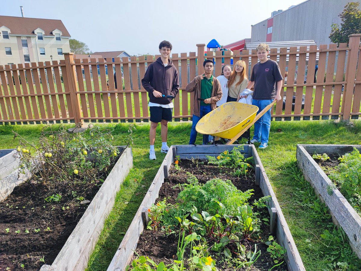 SAERC_Official's tweet photo. 🍅 SAERC Garden Update: Freshly harvested tomatoes! Thanks to the daycare's summer care, Mr. Penny is excited to share the bounty with them! If there are any local families in need, please reach out to Mr. Penny! 🌱💚 #CommunityGarden #NSISP #SharingIsCaring https://t.co/ftMopWGDL2