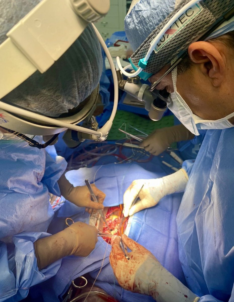 MontefioreCTS's tweet photo. Looking forward to our i6 residency open house on October 2nd, 2023 at 6 PM EST. We are so proud of our incredible trainees and can’t wait to welcome the next class to our program! All are welcome for a program introduction and meet and greet with our team. https://t.co/bfQoBPNqlE