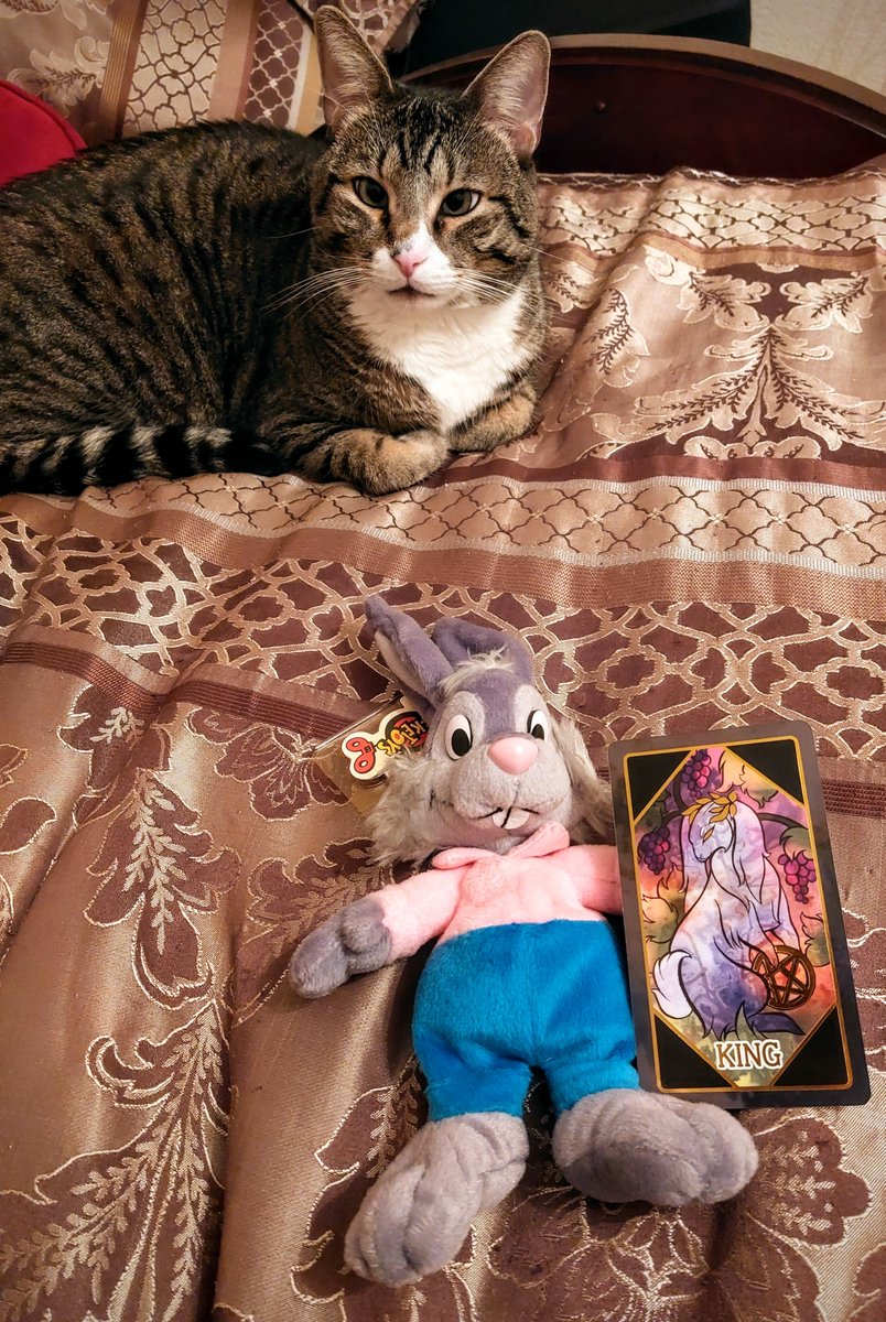 CjVick777's tweet image. #splashmountain
#brerrabbit
#brerfox
#tarot