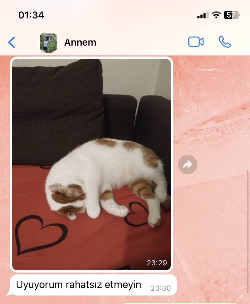 hellö (@sekulerbomba) on Twitter photo 