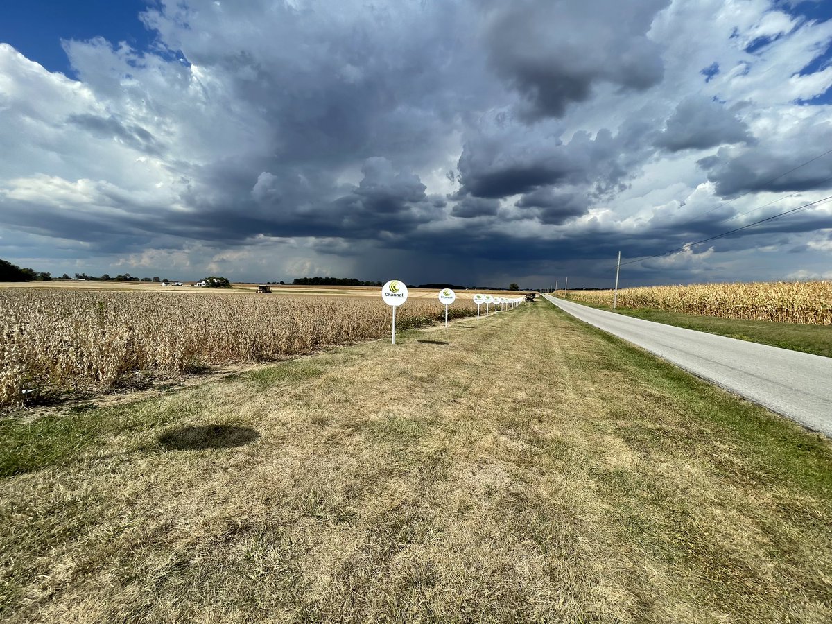 Plot harvest is in full-swing across So. IN and KY! New variety 3424RXF took home the W in this <a href="/ChannelSeed/">Channel Seed</a> soybean plot at Bishop Seed Solutions!