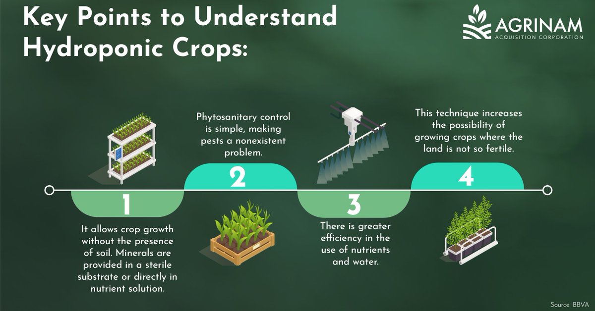 Hydroponic agriculture is based on the technique of placing roots in suspension and receiving water with the necessary nutrients to obtain the desired foods.

Impressive, don't you think?

#AgrinamSPAC #SPAC #Agtech #Agrinam #MaquiaCapital #AGRI #agriculturetechnology