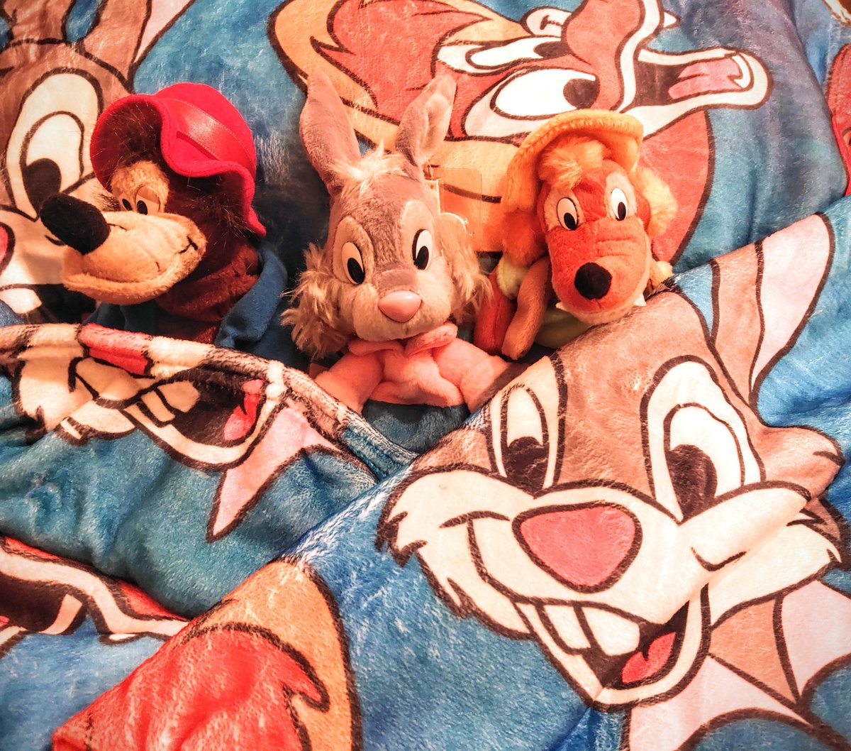 CjVick777's tweet image. Tucked in 🐻🐰🦊
#splashmountain
#brerrabbit
#plushie