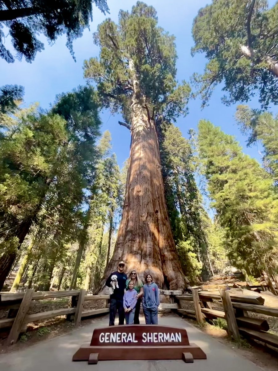 epriesand's tweet photo. @SequoiaKingsNPS Growing older but not up with our friend #GeneralSherman @SequoiaKingsNPS #FallBreak
🏔️🌲🌳🍁🍂🍃🌿🌱🪵🌎 https://t.co/LSvm9GdfpZ