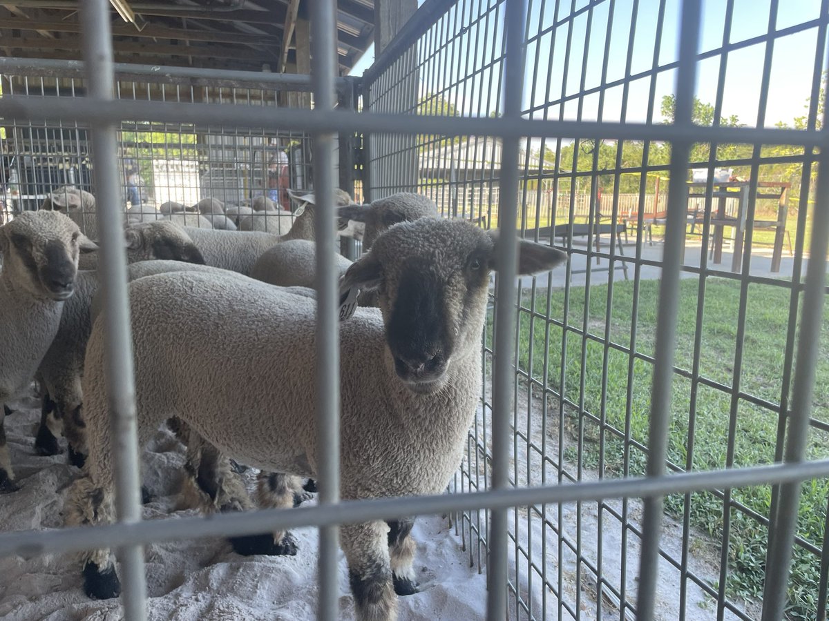 Humble ISD CTE tweet media