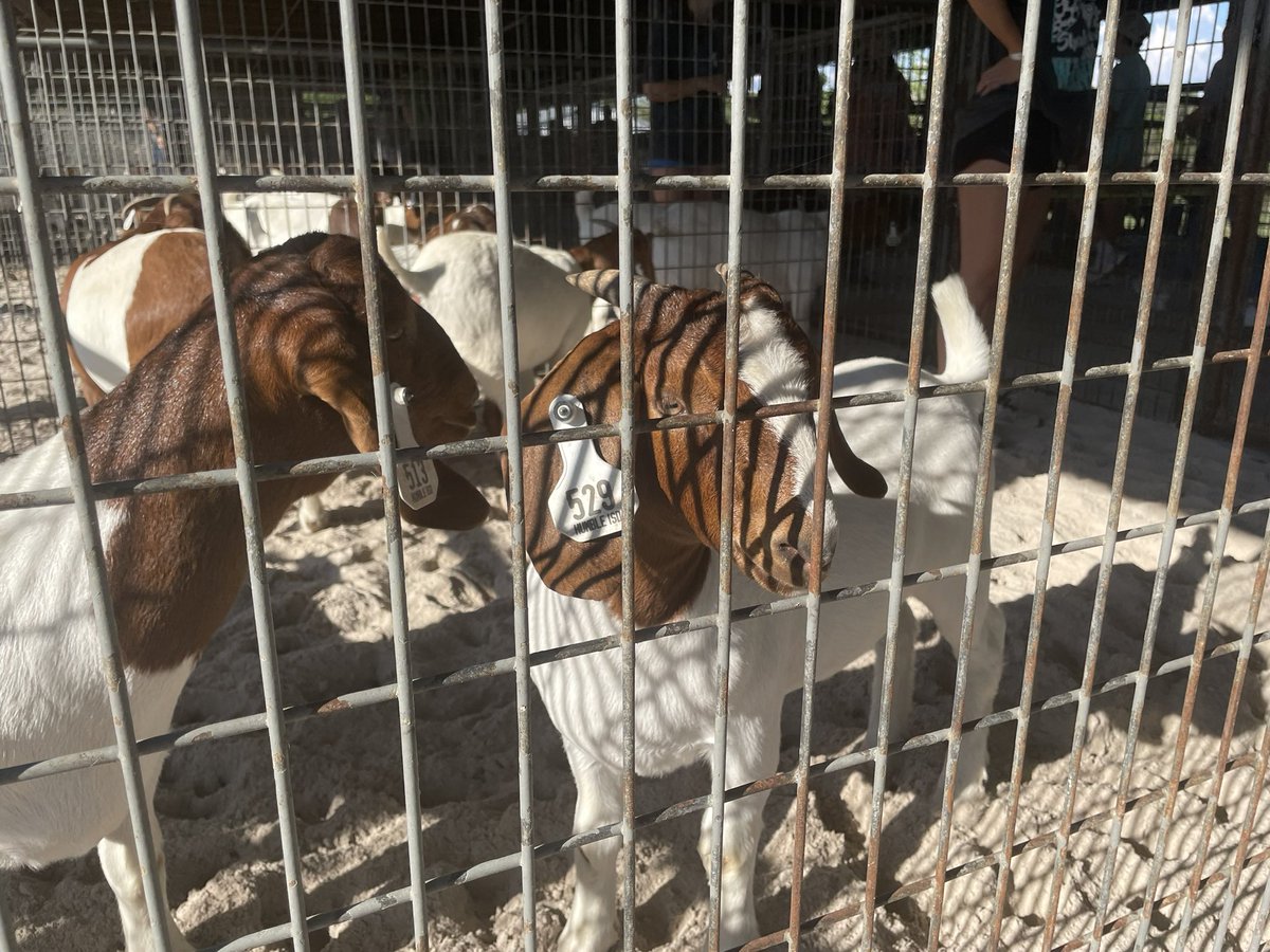 Humble ISD CTE tweet media