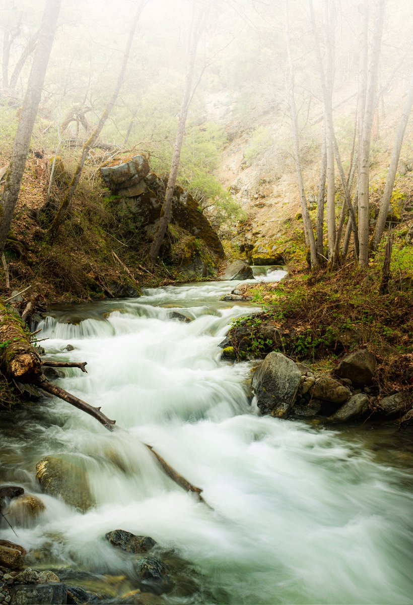 A cold and foggy morning on Tompkins Creek.  I love this spot.

#landscape #photography #photos
#longexposure #nature #wilderness
#nikonphotography