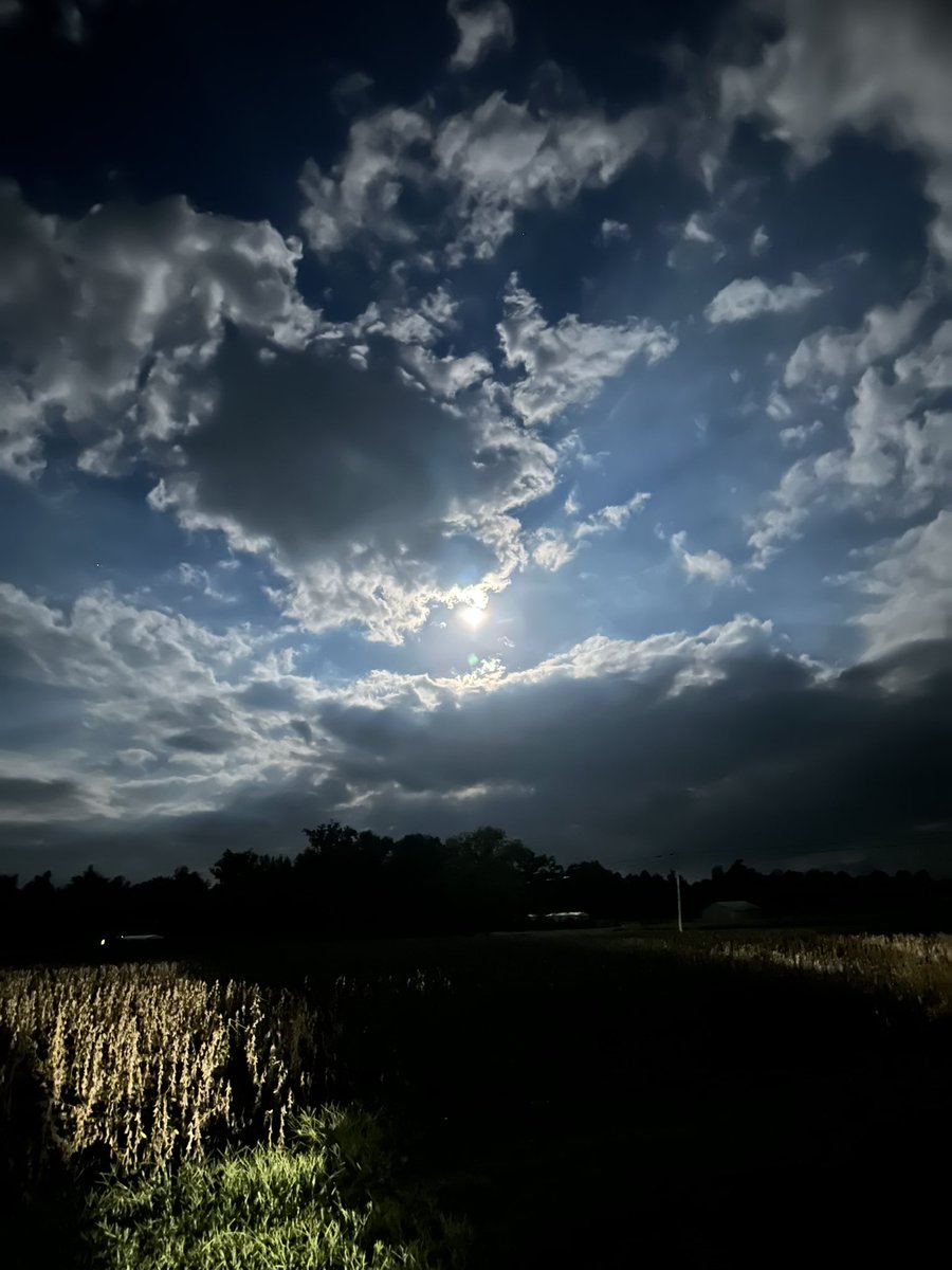 CrazyKoopah's tweet image. Hung in the country last night with some friends #HadToPee #GetASnap