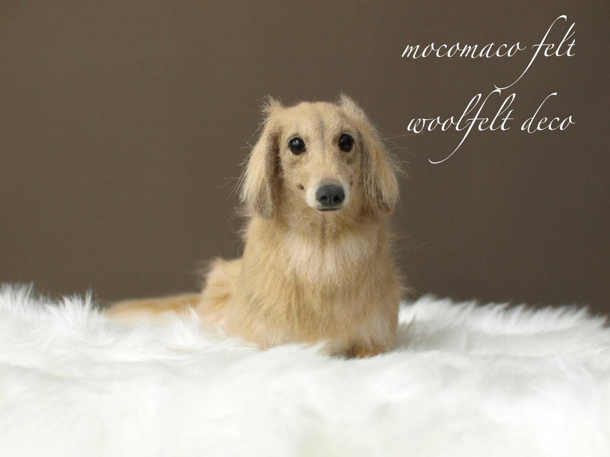 羊毛フェルトのダックスを作ってみました😊マズルが長い犬種は難しいなぁ〜😓

#羊毛フェルト #羊毛 #羊毛氈 #いぬ　#いぬのきもち #犬　#イヌ　#dogts #ハンドメイド #woolfelt #핸드메이드 #양모펠트