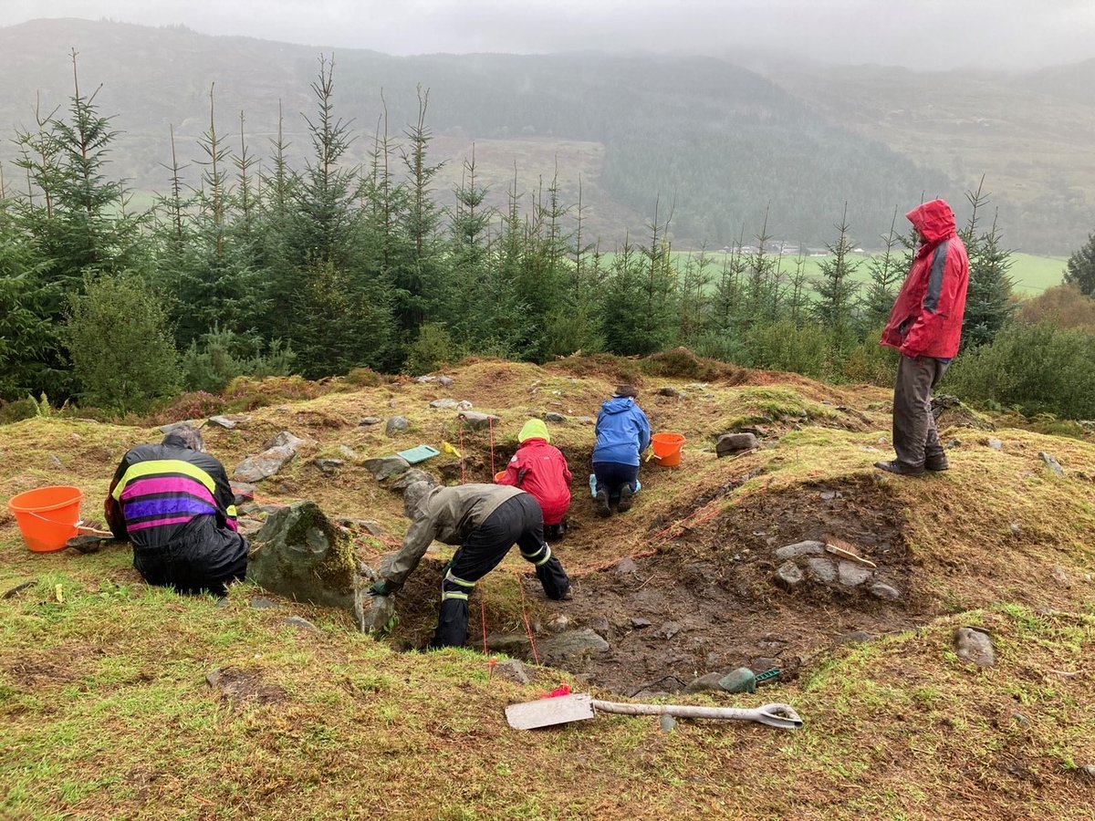 Stronafian Community Forest tweet media