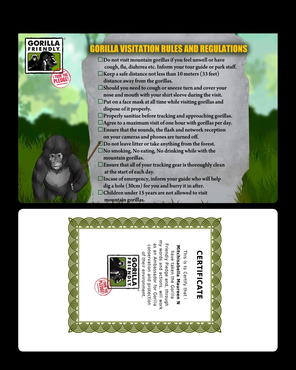mitchbels's tweet photo. #gorillafriendlyTM
For the love of Gorrila#proudly to be #tookthe pledge https://t.co/seKm1IWKQY