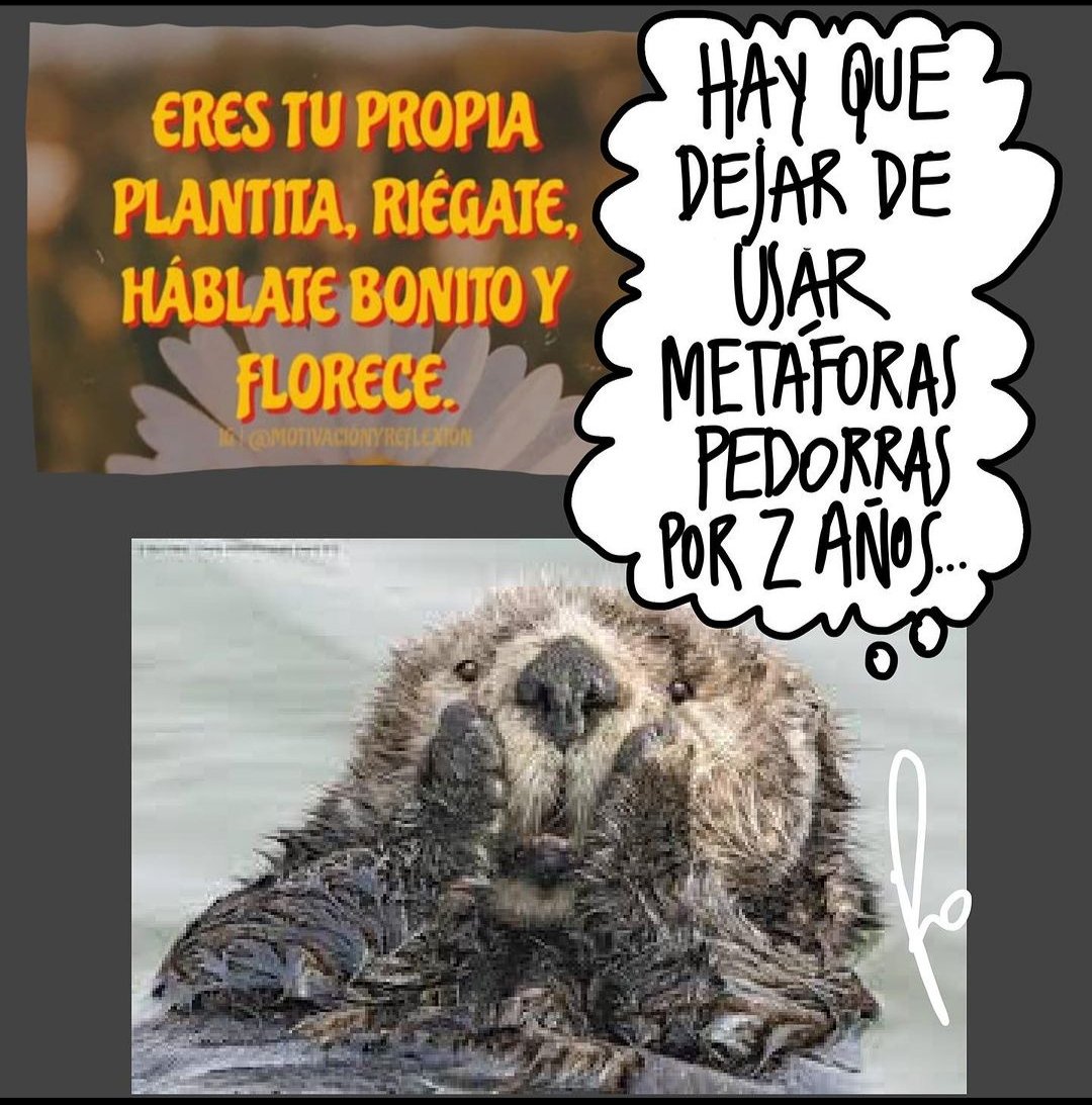 RoFerrerIlustra's tweet photo. Por favor...

#ilustradorasargentinas #ilustradoraslatinas #ilustradoras #ilustradoraslatinoamericanas #artivista #dibujanta #roferrer #RoFerrerArtivista #roferrerilustradora #ro #ilustradorasfeministas https://t.co/QzpJntYxiu