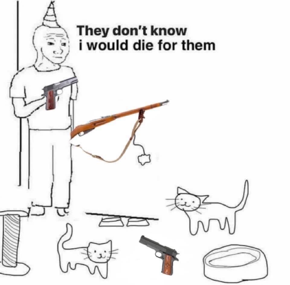 meme bastard (@mask_bastard) on Twitter photo 