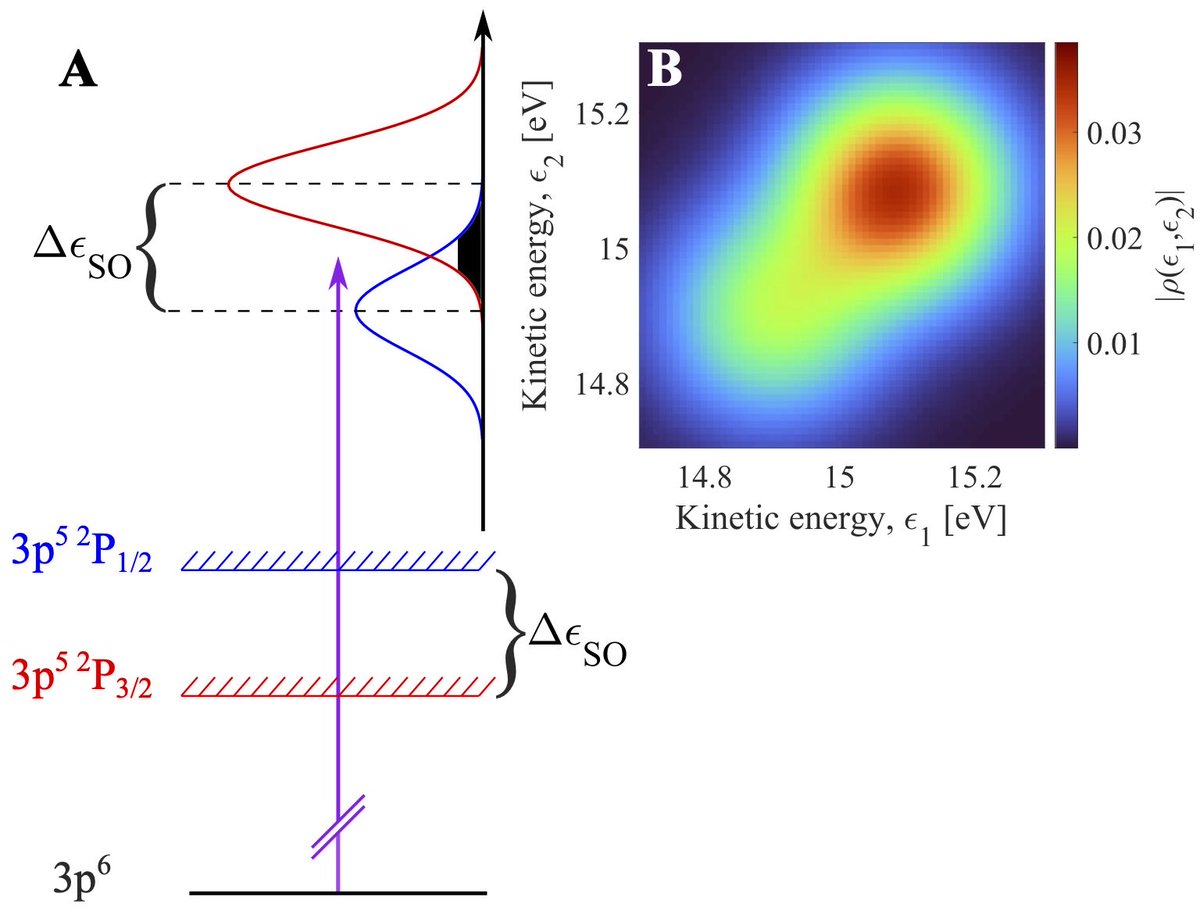New preprint out today in a collaboration @wacqt_sweden where @quantshah and I supported the experimental group of David Busto and Anne L’Huillier @lunduniversity: ”Measuring the quantum state of photoelectrons” arxiv.org/abs/2309.13945