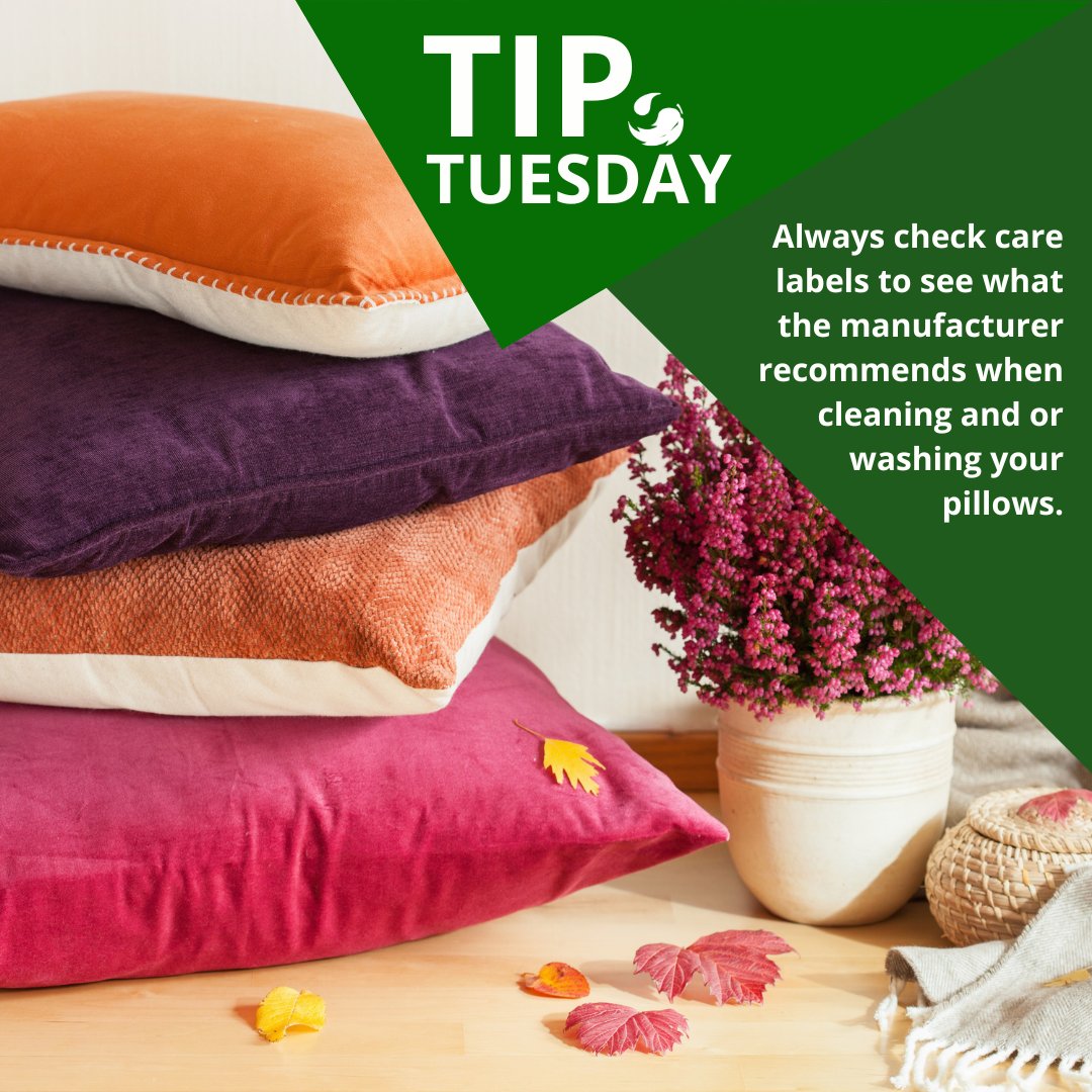 Fluff pillows daily to get out dust and keep the stuffing from clumping. Air them outside or by an open window monthly to eliminate odors. 💙 🌱

ow.ly/ghje50PPCm5 #NaturesTouchKC #KansasCity #HouseholdCleaning #DryCleaning #SustainableLiving #DecorativePillows