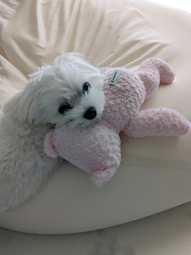 This is my best friend!!