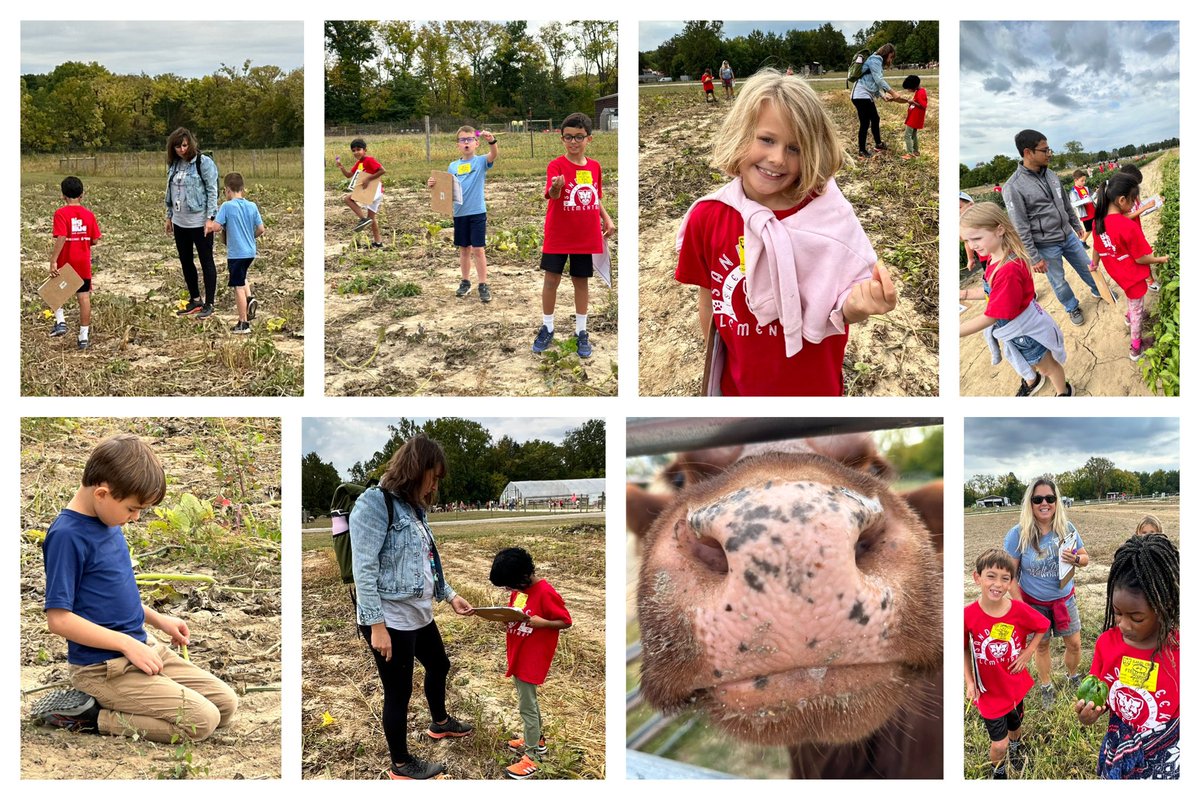 Rhonda Labellarte tweet media