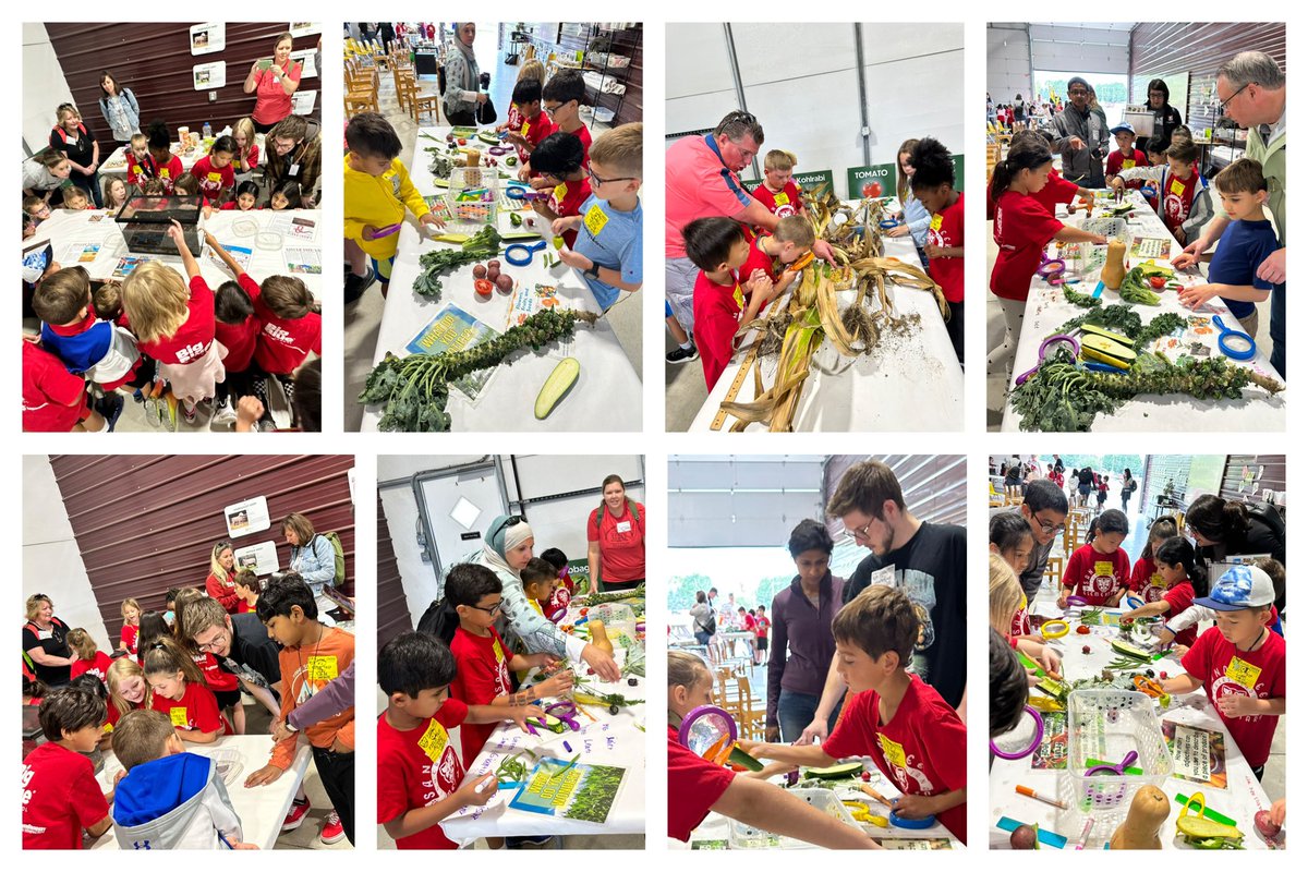 Rhonda Labellarte tweet media