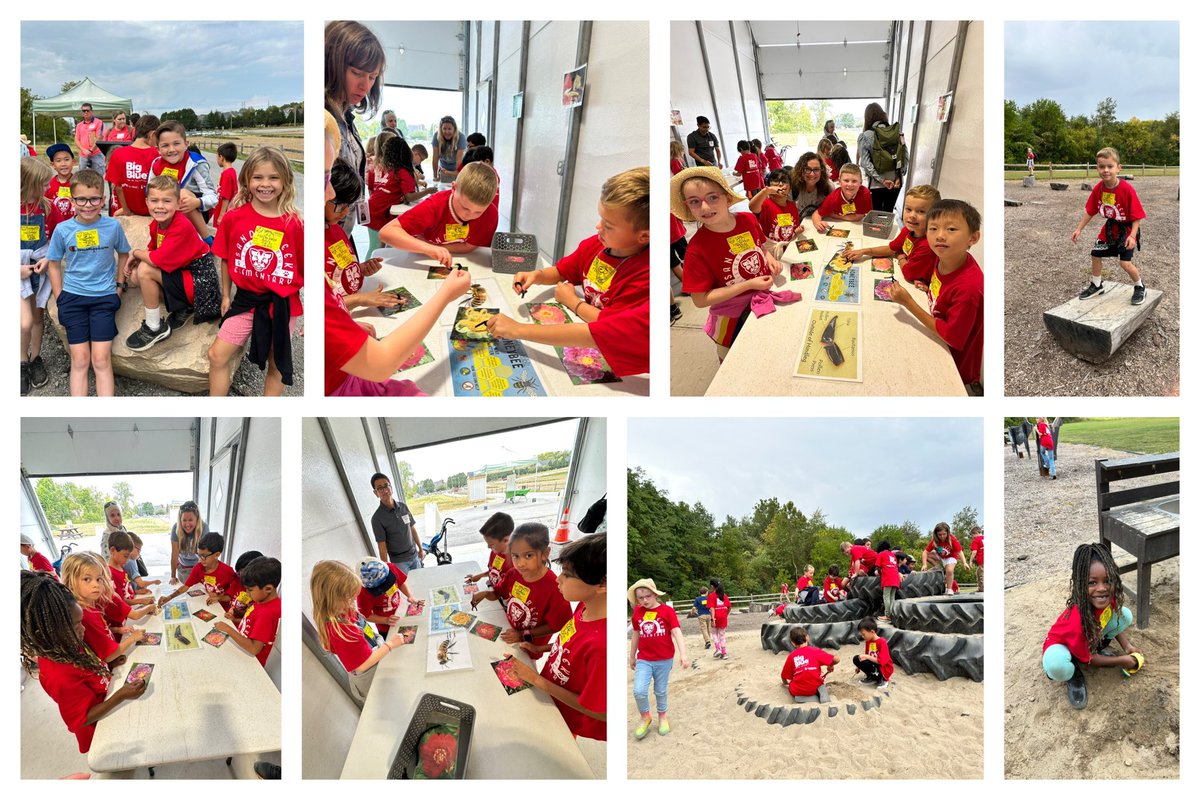 Rhonda Labellarte tweet media