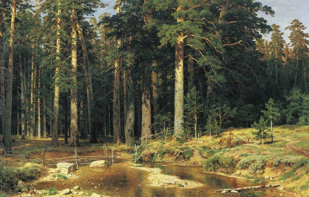 artistshishkin's tweet photo. Mast Tree Grove https://t.co/wxv8x3cqEJ https://t.co/b55NDXqxrz