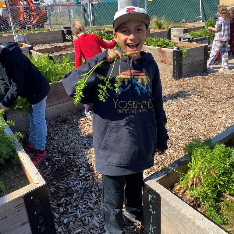 🏆The Literacy for Life Grant Application is OPEN! 🏆
Get funding to bring 🌿agriculture into your classroom!

Apply by October 2 here: learnaboutag.org/grants/life/