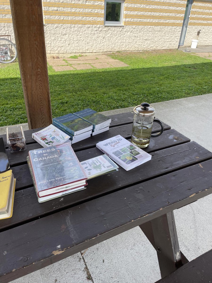 Emilie DeRochie tweet media