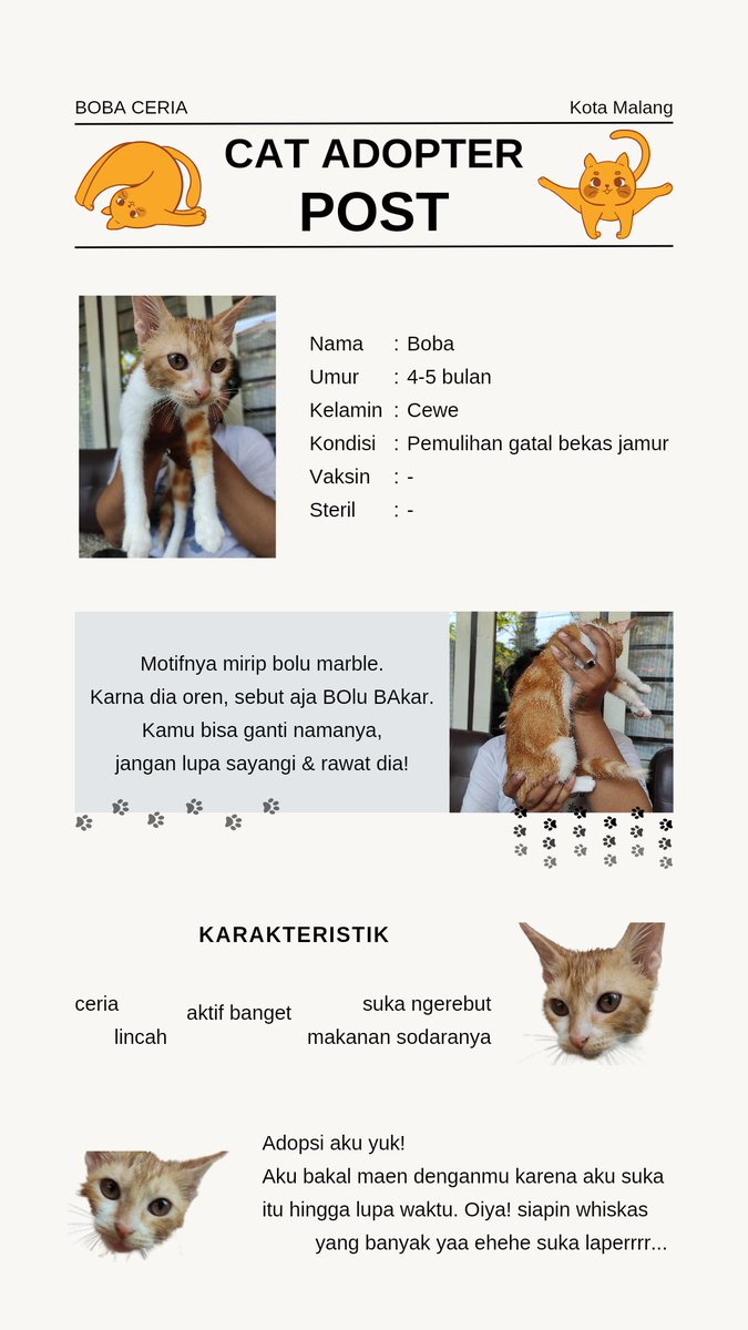 _hanwook's tweet photo. -OPEN ADOPTION FREE-

2 kucing betina umur 4-5 bulan
📍Dom Malang
Bantu RT yaa, terimakasih🙆🏻‍♀️✨
#OpenAdopt #AdoptCat #adoptfree #kucing #malang #CatsLover #Cat https://t.co/s5orsqiemk