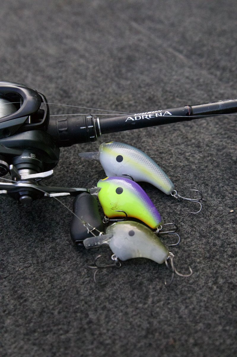 DMullinsfishing's tweet photo. Square bill season is finally starting. What size Macbeth do you like? 
#fishshimano https://t.co/MB1V9mRBwD