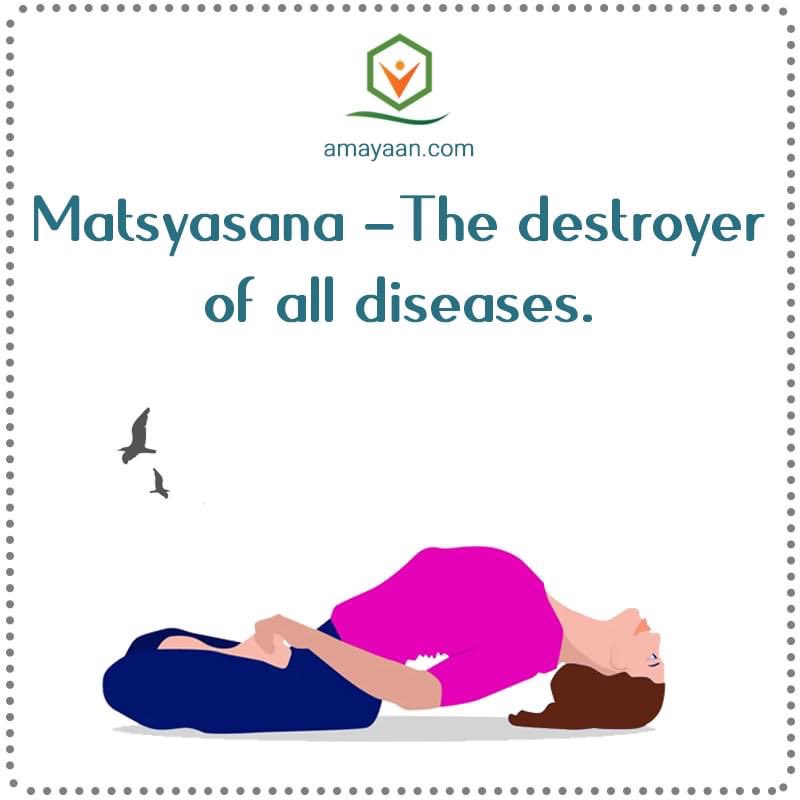 AnaMaria_pasch's tweet photo. Fish pose or #Matsyasana (…)
1️⃣It strengthens the back and neck.
2️⃣It helps ease tension from the neck and shoulders.
3️⃣It helps tackle respiratory issues.
4️⃣It promotes the healthy functioning of the thyroid gland, pituitary gland,and the pineal gland.
#Yoga
#Amayaan https://t.co/HGJ5HK0EQ1