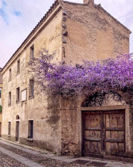 Il glicine della casa di Grazia Deledda.

Il 28 settembre 1871, esattamente 152 anni fa, nasceva a Nùoro l'unica donna italiana ad aver vinto il Premio Nobel per la letteratura.