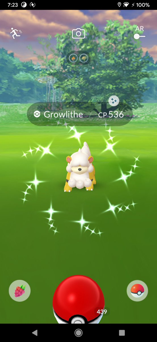 liftingandzombs's tweet photo. Retweet this for Shiny Hisui Growlithe Luck! ✨ #PokemonGO https://t.co/GJ7EQJechz