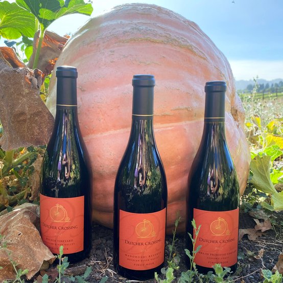 Trick or treat! Our favorite #Halloween treat is #wine, of course. 😉