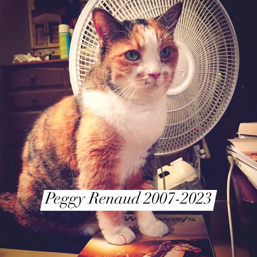 Joanne Renaud tweet media