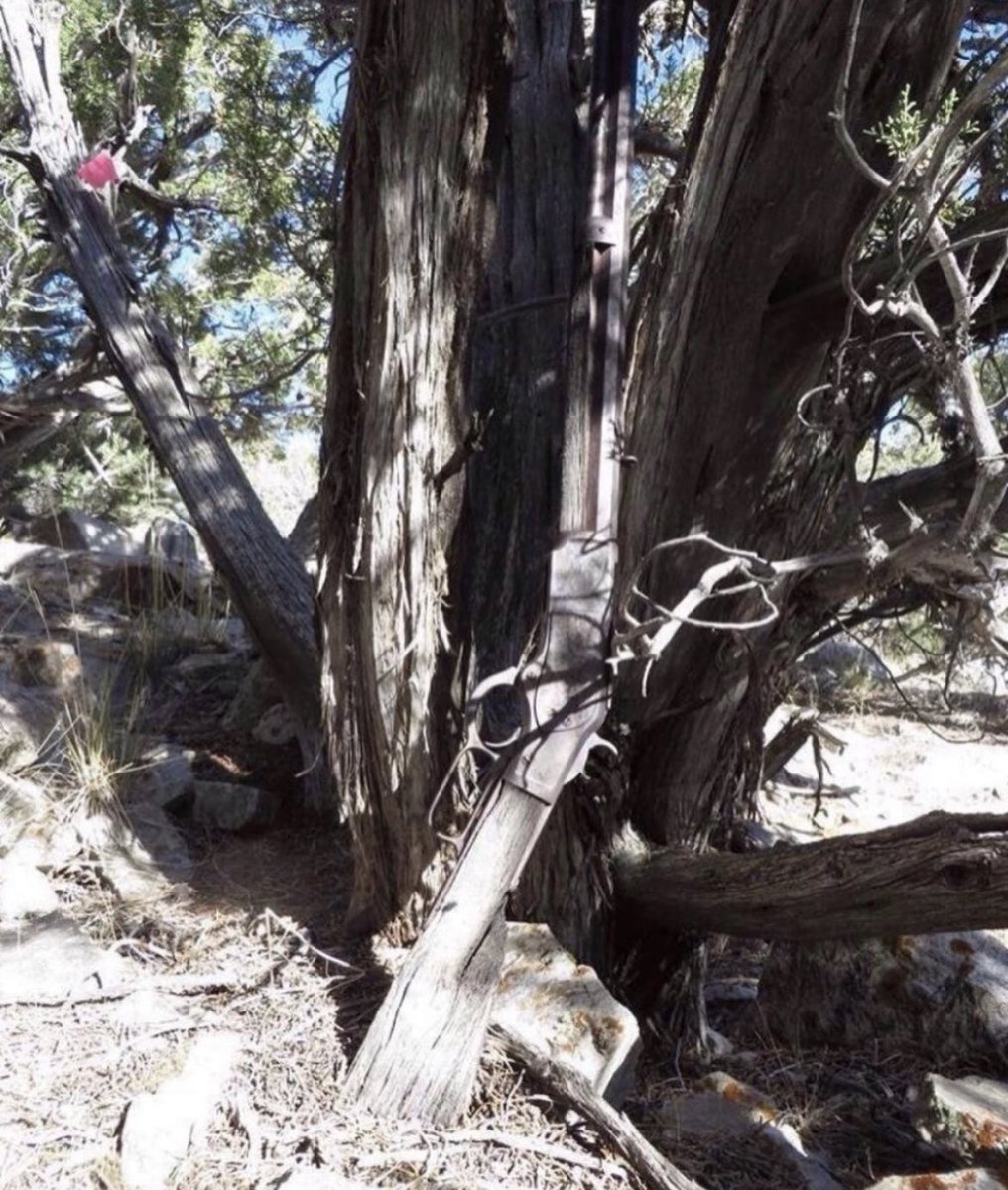 In 2014, a 132-year-old rifle was discovered leaning against a tree in a remote part of the Nevada desert by pure chance. Archaeologist Eva Jansen led a team on an expedition to search for artifacts in the Nevada hillside within Great Basin Park when they stumbled upon the rifle.…