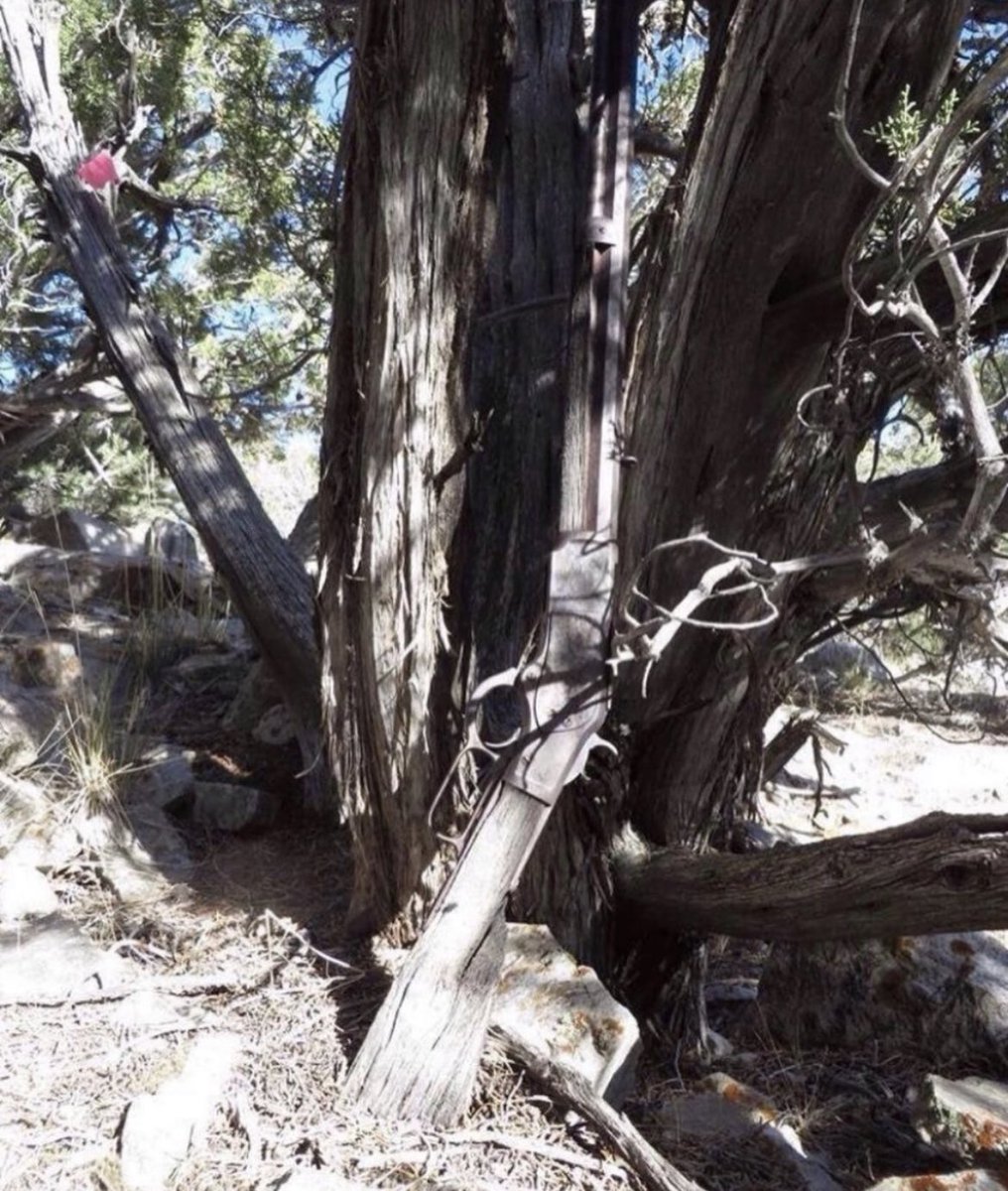 historyinmemes's tweet photo. In 2014, a 132-year-old rifle was discovered leaning against a tree in a remote part of the Nevada desert by pure chance. Archaeologist Eva Jansen led a team on an expedition to search for artifacts in the Nevada hillside within Great Basin Park when they stumbled upon the rifle.

The rifle was found with its wooden stock partially buried and severely rusted, making it nearly indistinguishable from the tree behind it. Identified as a Winchester Model 1873 due to an engraving of "Model 1873" on its side, it was one of the most popular guns of its era. Winchester produced over 700,000 of these rifles, which were relatively inexpensive at the time (around $50 then, equivalent to $1,000 today) and earned the nickname "the gun that won the west."

The circumstances of how the rifle ended up in its resting place, exposed to the elements, remain a mystery. The chief of Great Basin Park noted that there were no other artifacts nearby that could provide clues about its origin. The Great Basin area has a history rich with ranchers, settlers, miners, and Native Americans, making it challenging to pinpoint the rifle's owner. Ms. Jansen has conducted preliminary research to trace the gun's owner, but it is likely that the owner's identity and story will remain unknown.