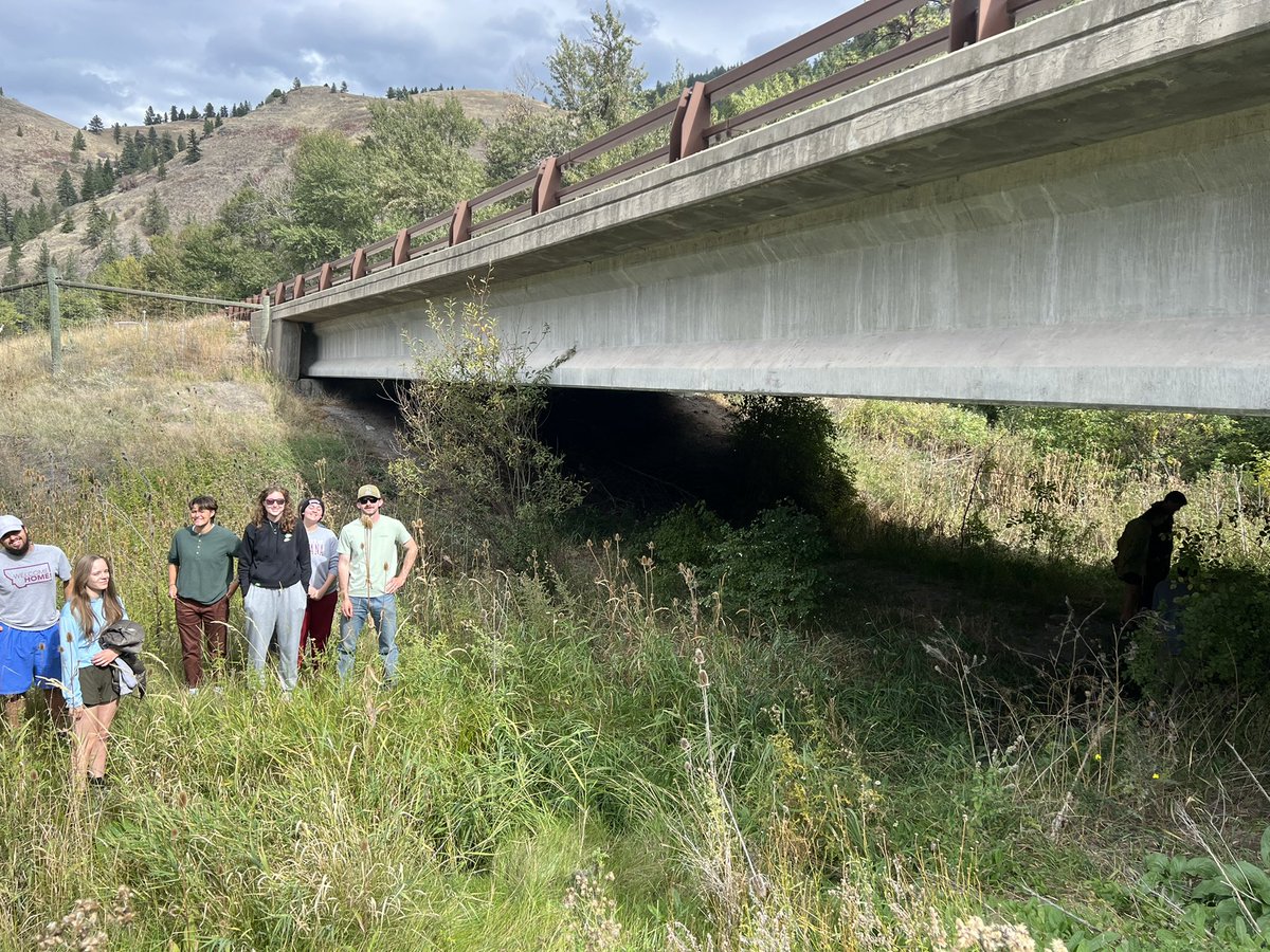 HebblewhiteLab's tweet photo. Loved learning about the amazing work of the #CSKT to mitigate effects of roads on wildlife on Hwy 93 and #roadecology w my @umontana Wildlife Biology class! Great to see wildlife underpasses at work! https://t.co/v19xRR69wj