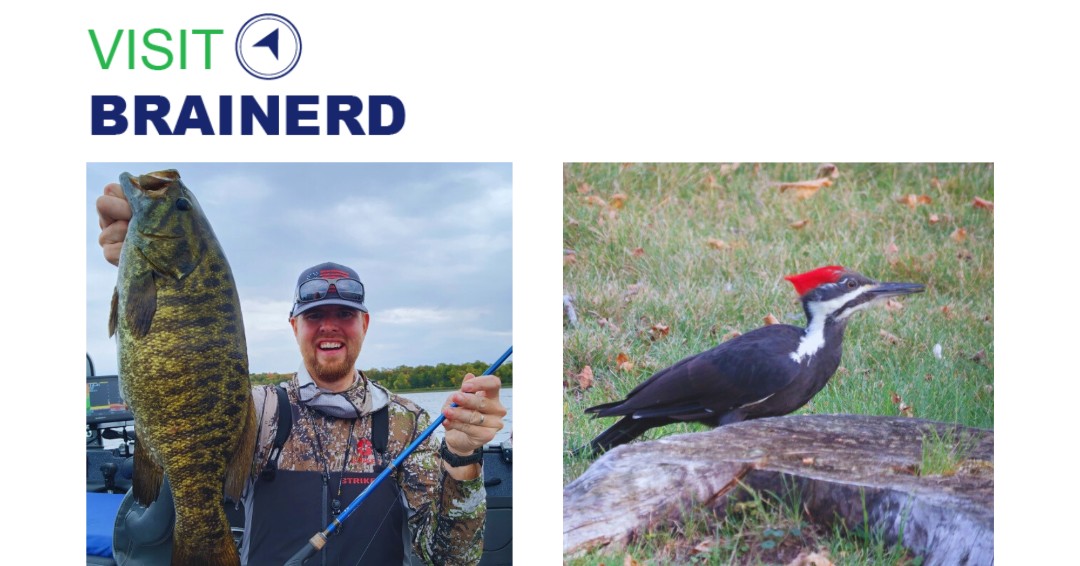 Visit Brainerd tweet media