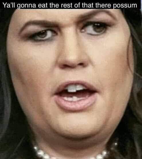 lmcarroll3's tweet photo. @SarahHuckabee https://t.co/1N3IXXkGDX